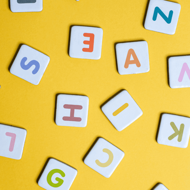 PaCConnect – Education and SEND in Brighton & Hove
