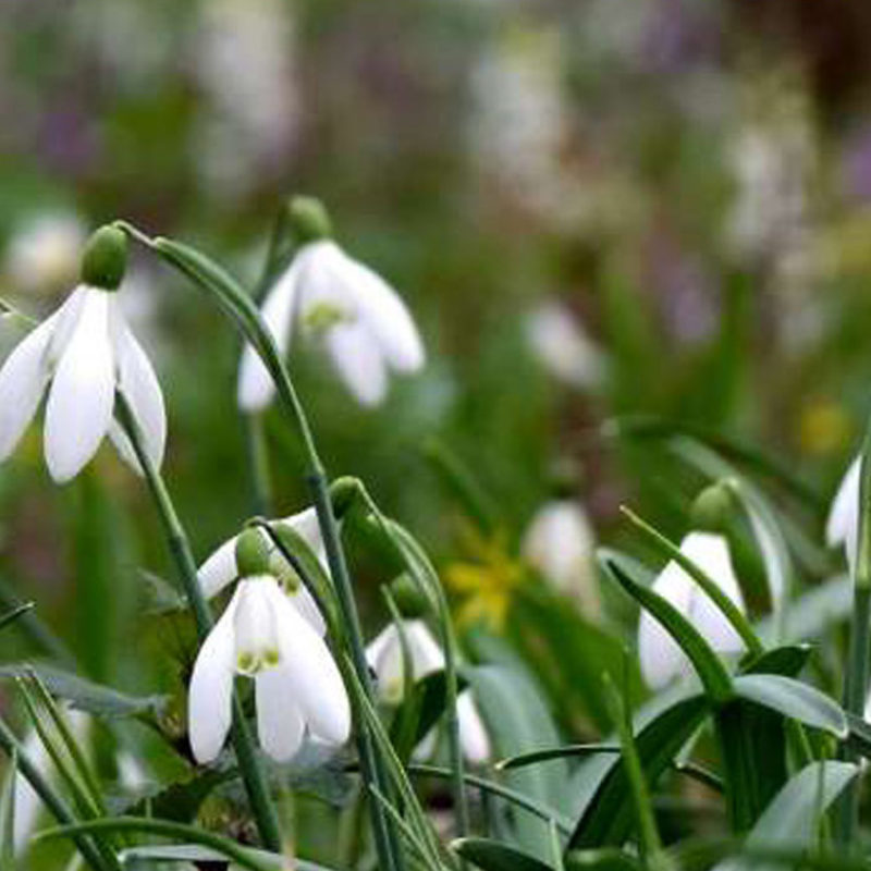 Round Up January 2026